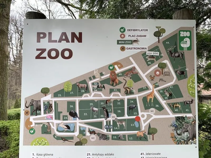 Najlepsze sposoby, jak dojechać z dworca PKP do zoo w Krakowie