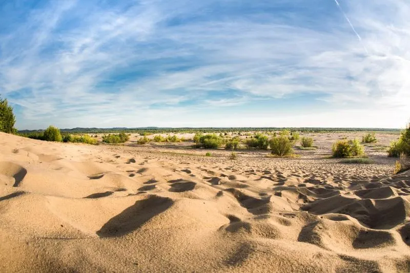 Odkryj Pustynię Błędowską: Jak Najlepiej Dojechać Z Krakowa?