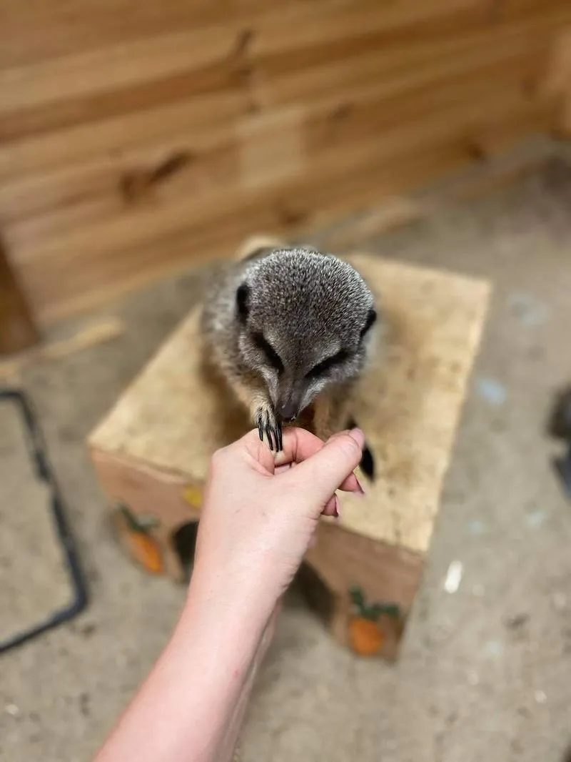 Lot bezpośredni Warszawa Male