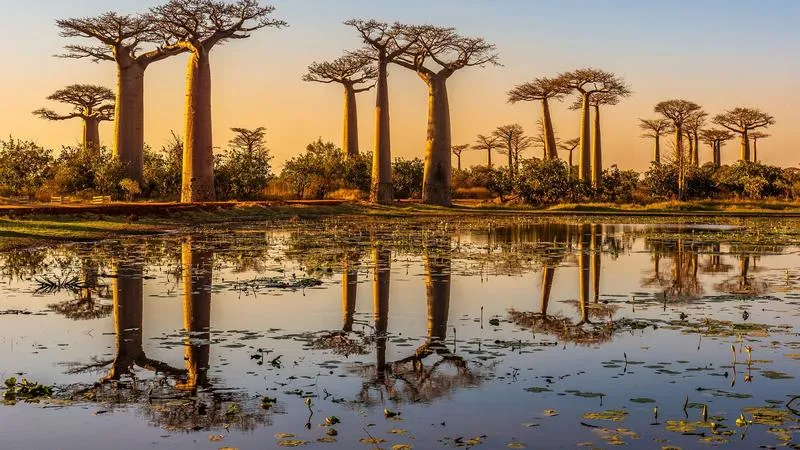 Loty bezpośrednie i z przesiadkami