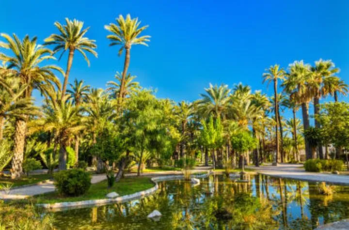 Park palmowy w Alicante