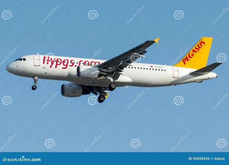 Pegasus TC sprawdzanie biletów