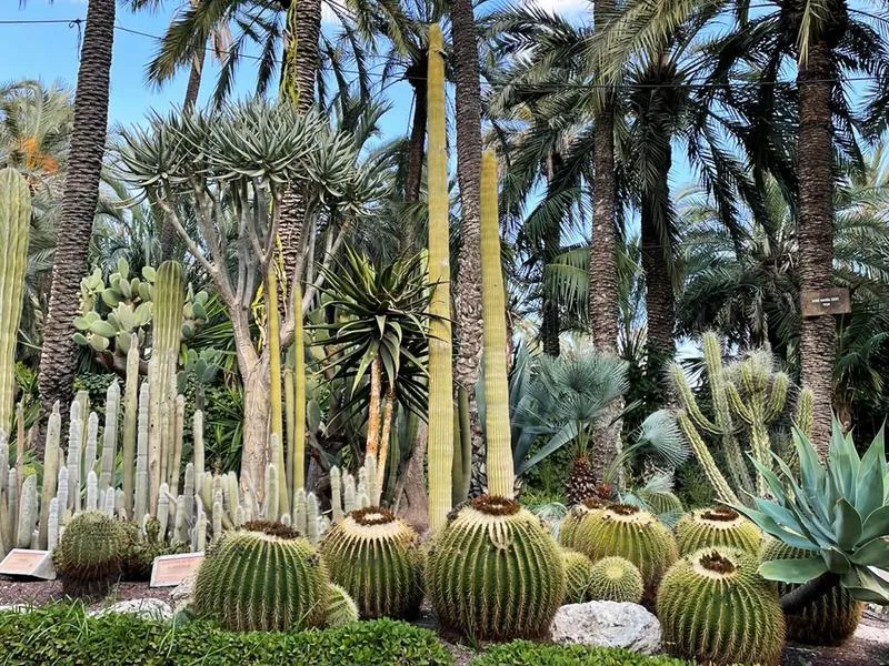 Praktyczne wskazówki dla turystów