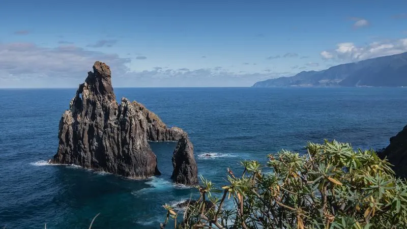 Sezonowe pułapki na Maderze